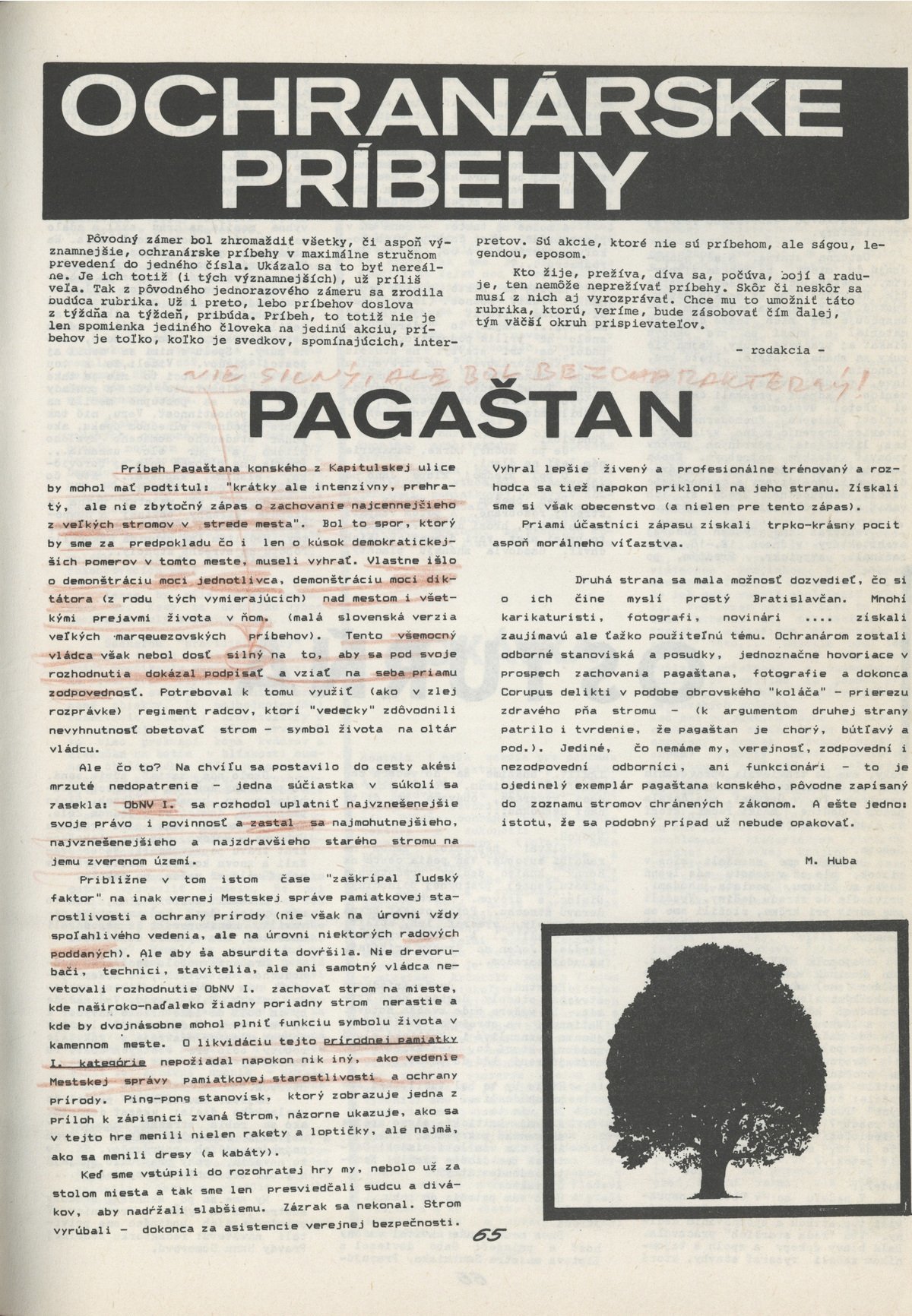 Ochranárske príbehy - Pagaštan. 1988. Ochranca prírody